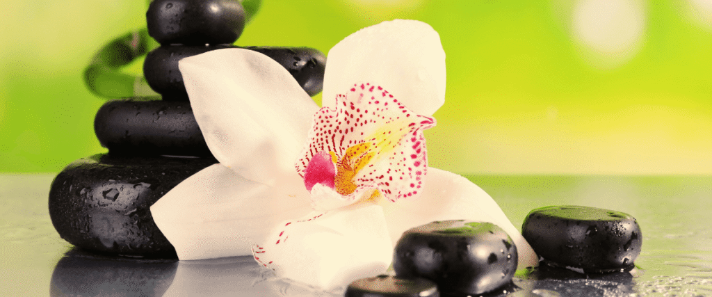 Zen-inspired relaxing setting of white flower with stones and water. 